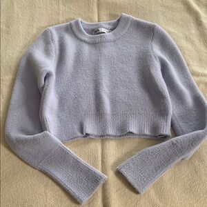 Zara cropped sweater
